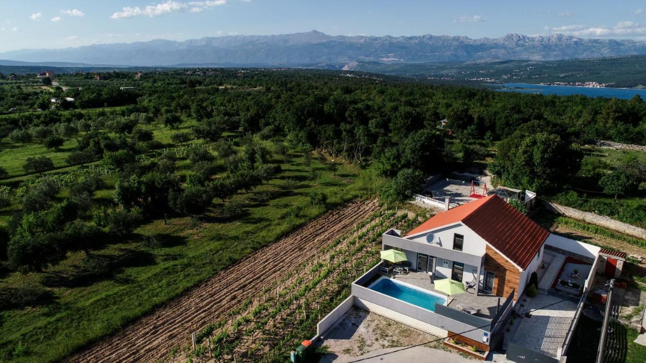 Luxurious Villa Natali Pridraga Dış mekan fotoğraf